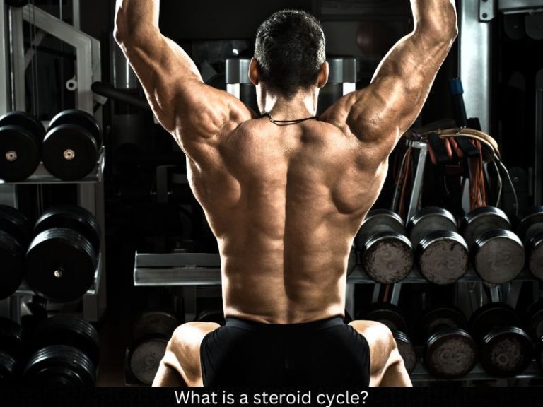 Professional Bodybuilder Steroid Cycle: The Best Way Professional ...